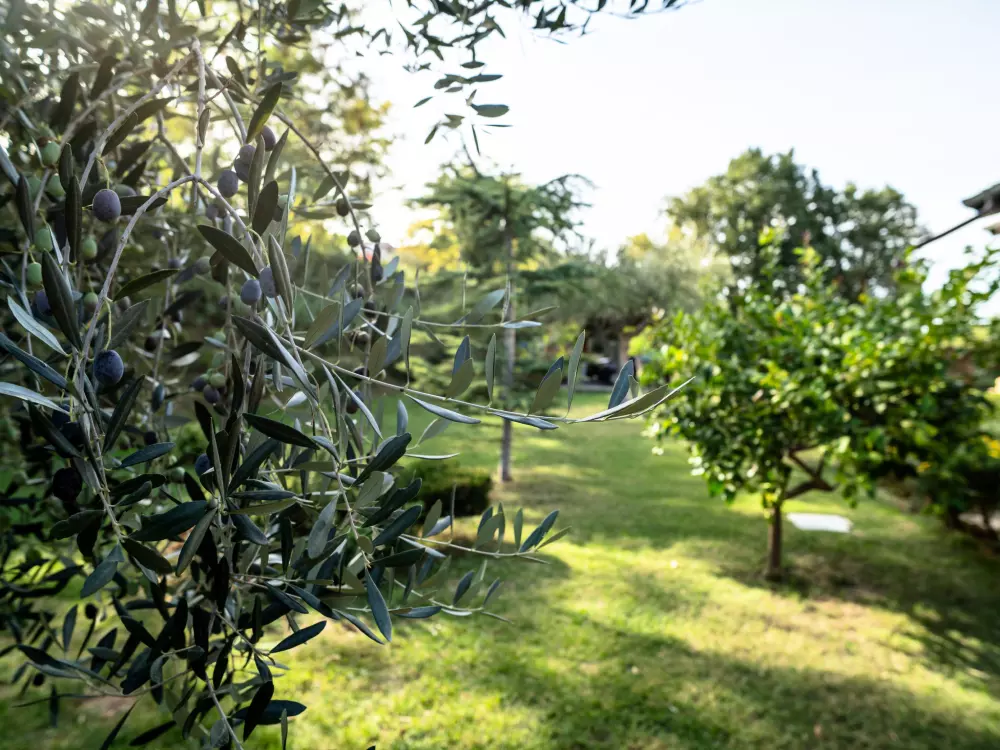 Maison de Vacances Città Sant'Angelo