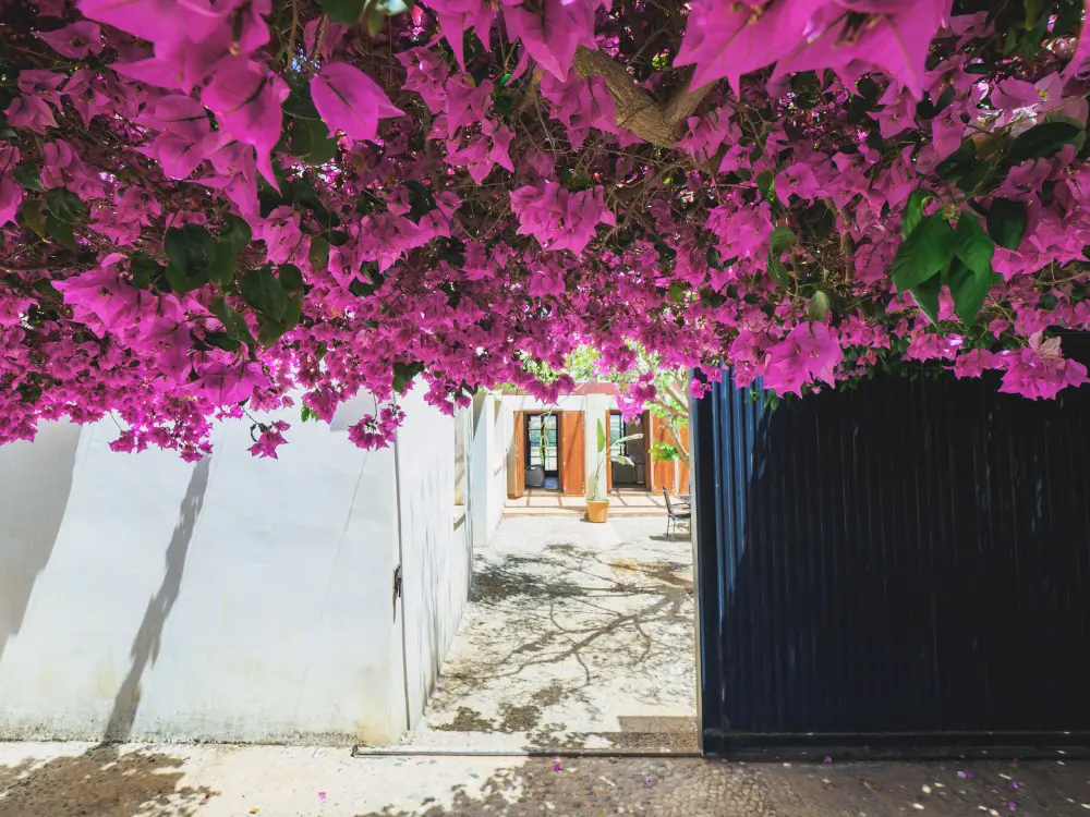 Maison à Coín