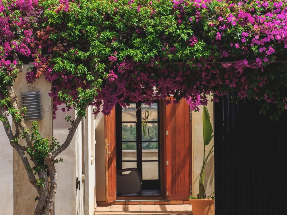 Maison à Coín