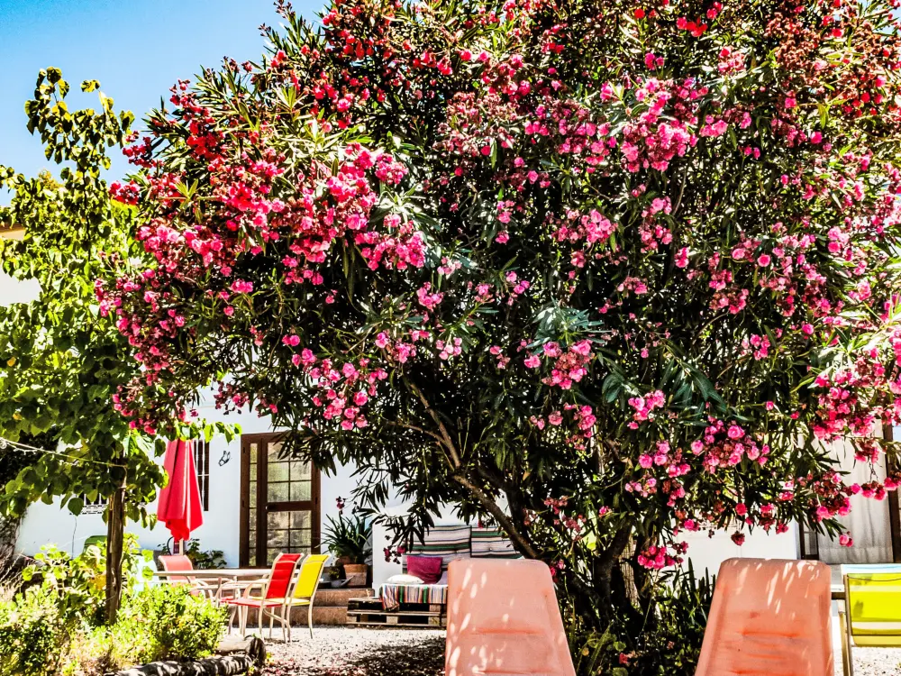 Maison de Vacances Coín