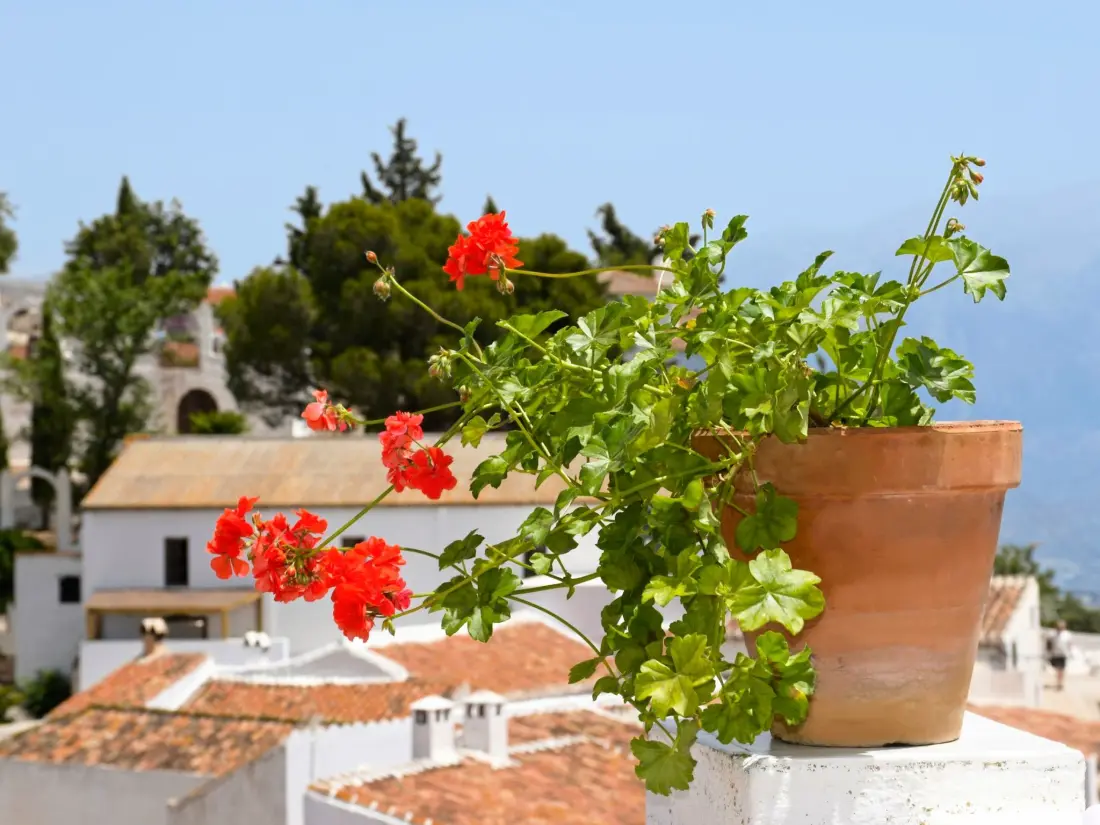 Maison de Vacances Comares