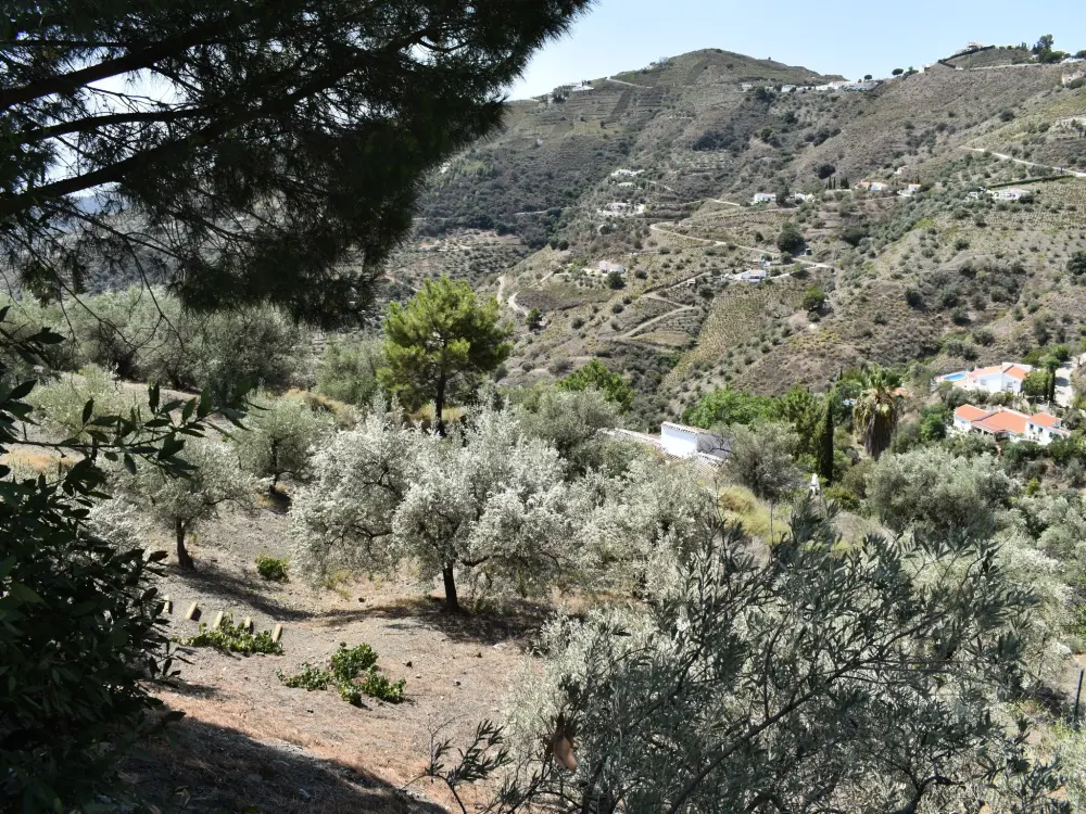 Maison de Vacances Competa