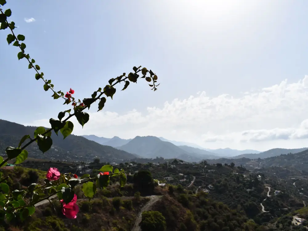 Maison de Vacances Competa
