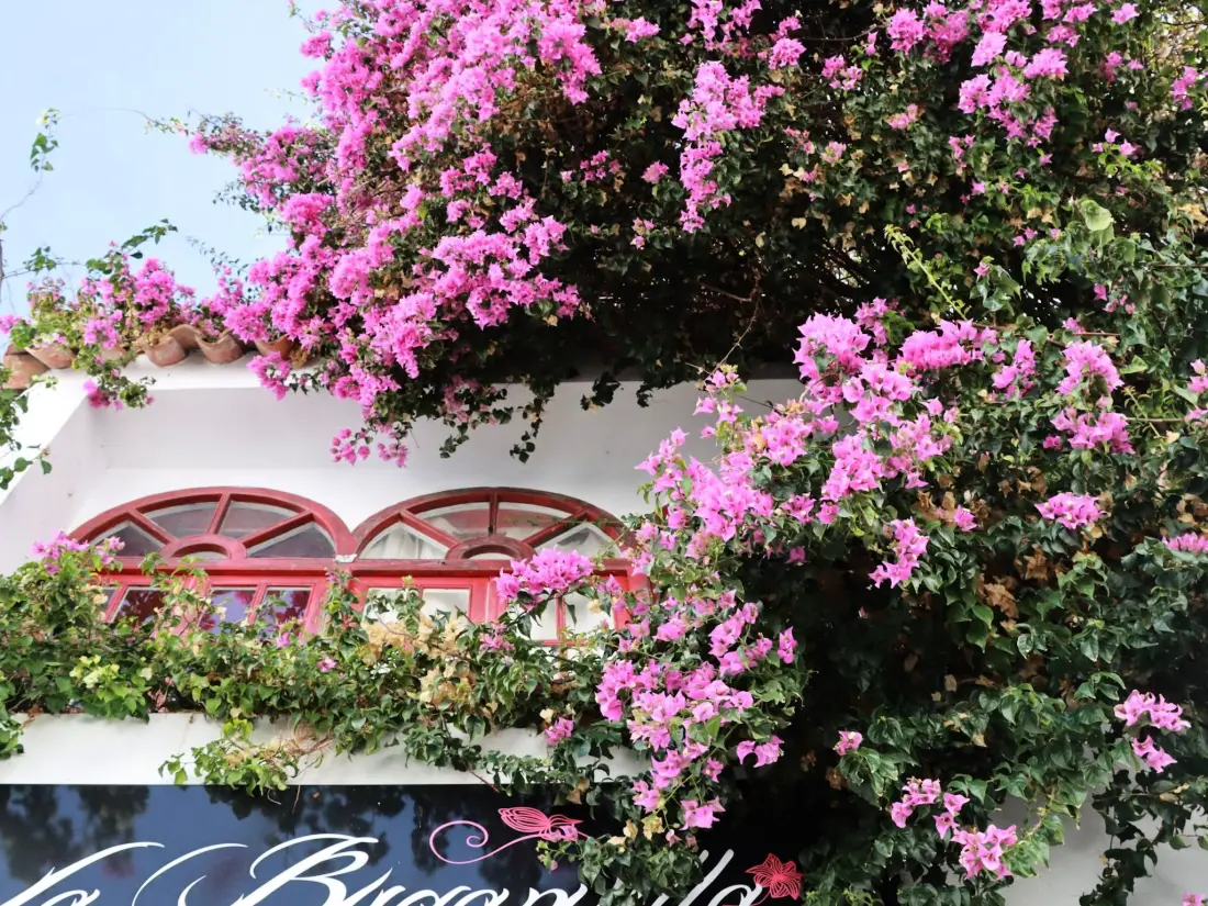 Maison de Vacances Conil de la Frontera