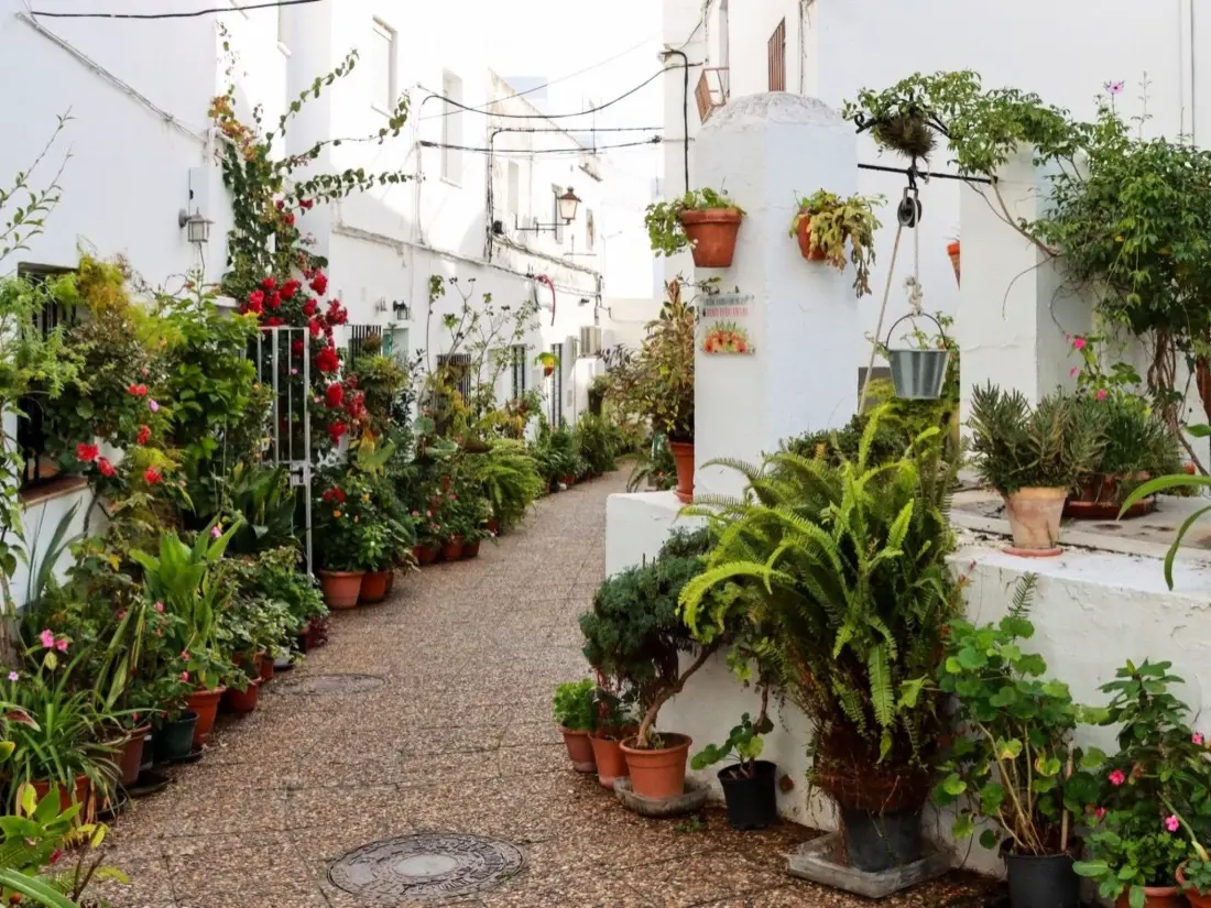 Maison de Vacances Conil de la Frontera