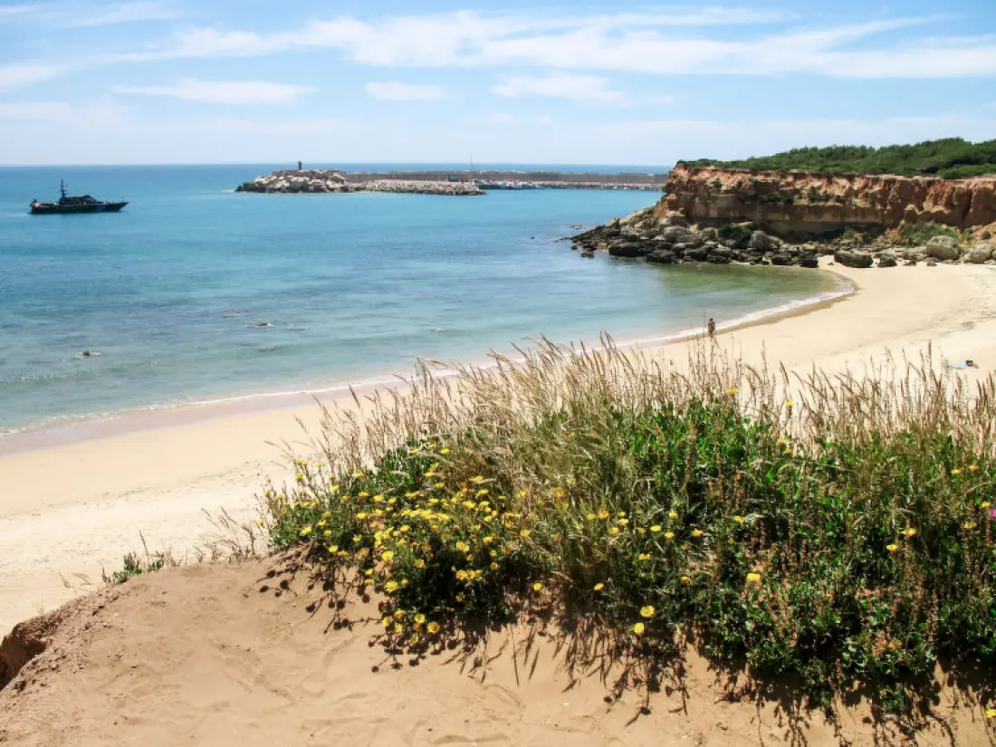 Maison de Vacances Conil de la Frontera