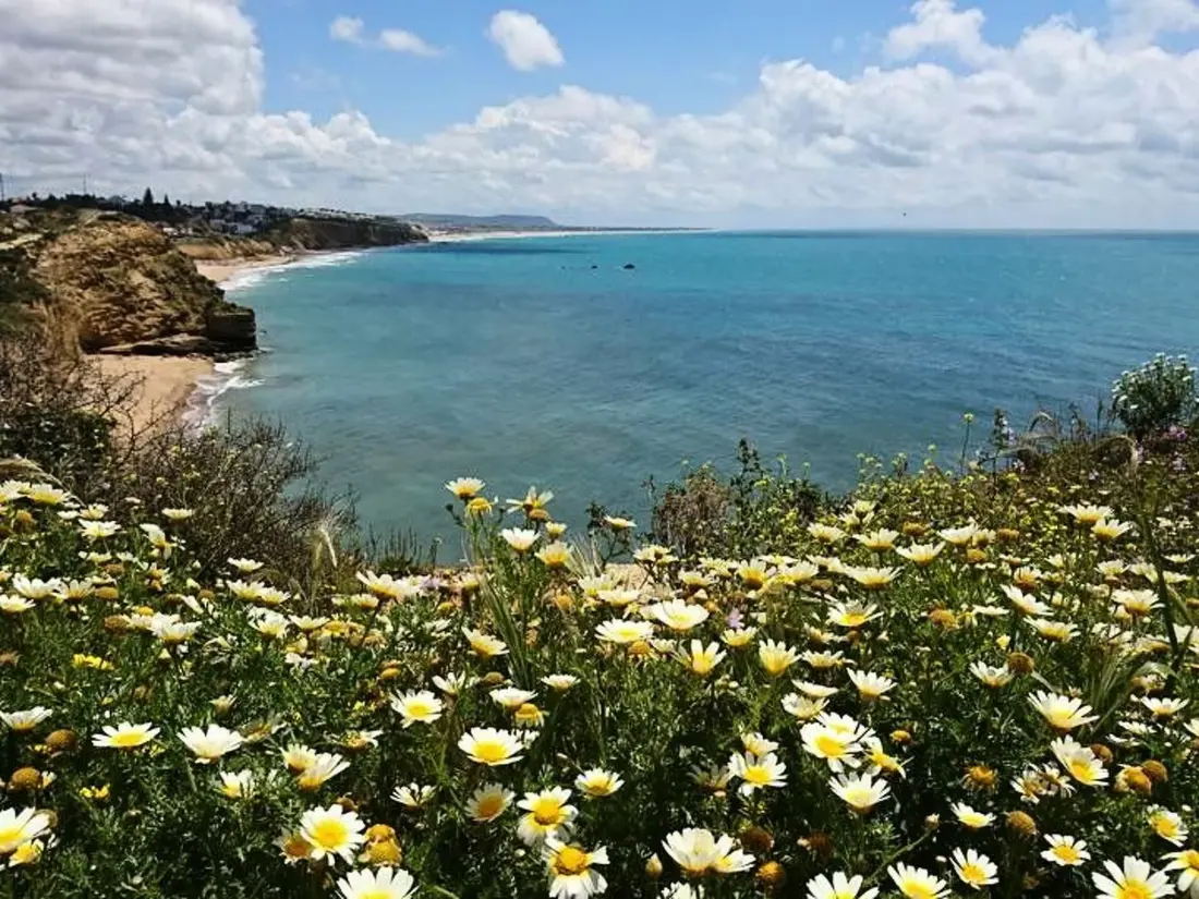 Résidence Helle und geräumige Wohnung in Conil
