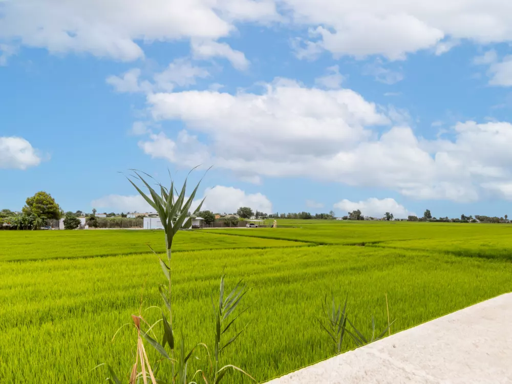 Maison de Vacances Deltebre