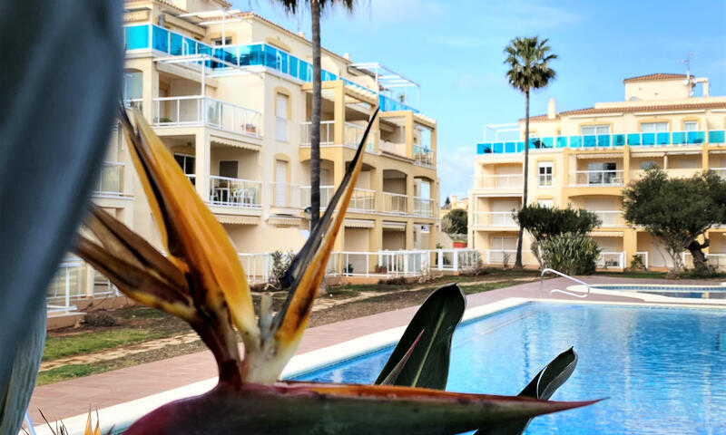 Appartements à Dénia - - Dénia - 19