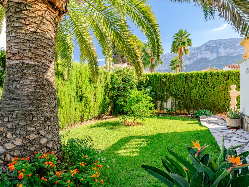 Maison de Vacances Dénia