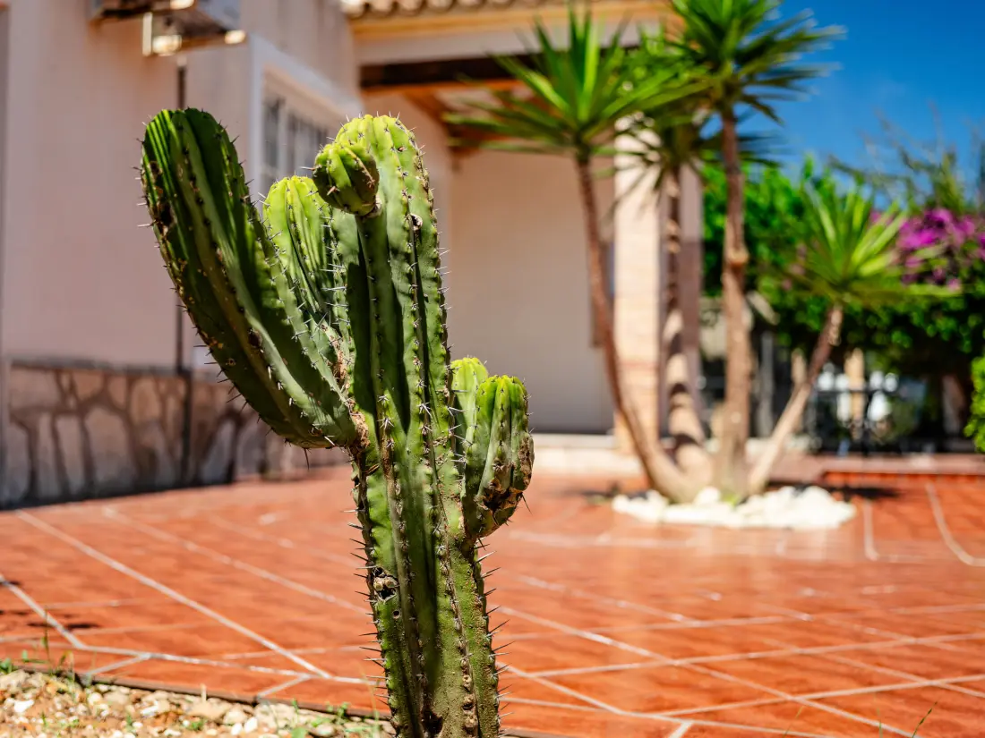 Maison de Vacances Dénia