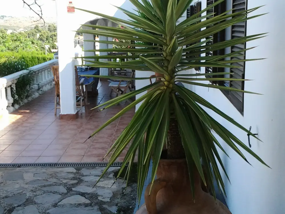 Maison de Vacances Dénia