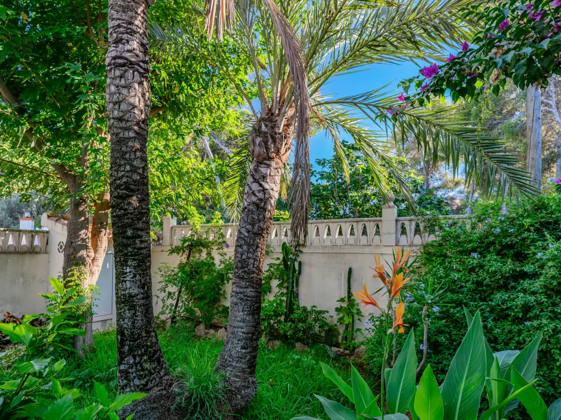 Maison de Vacances Dénia