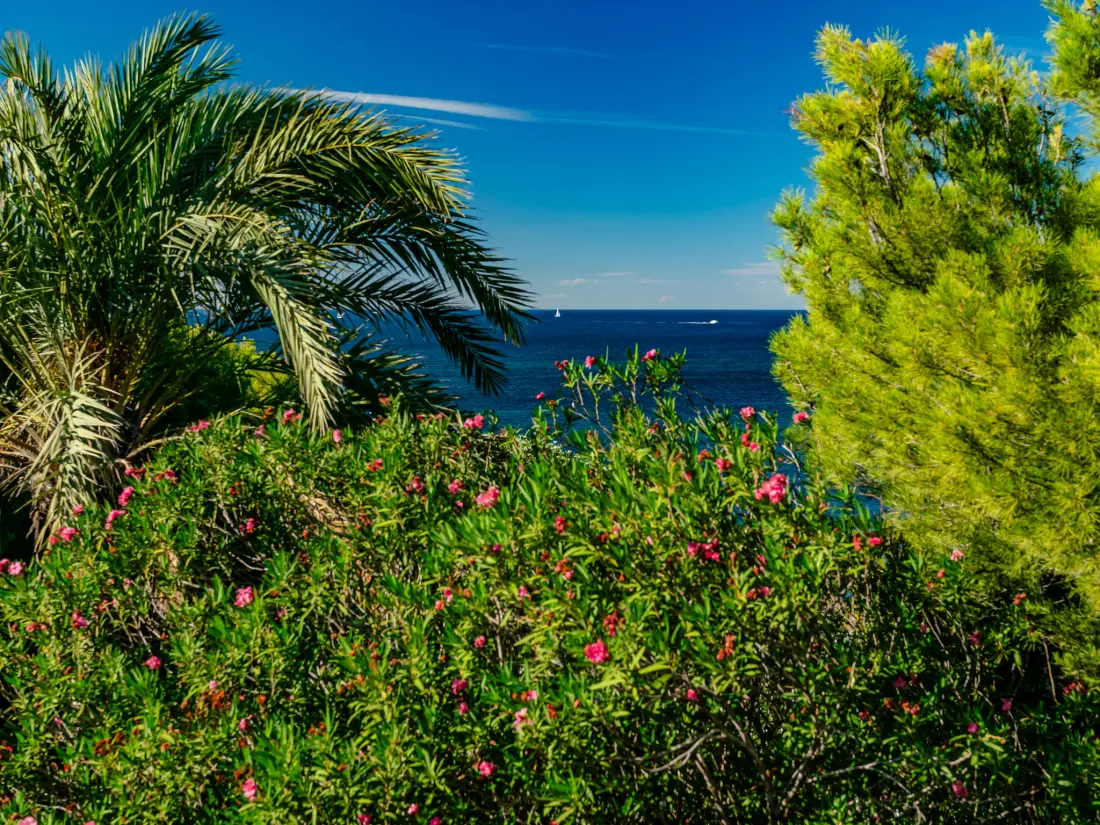 Maison de Vacances Dénia