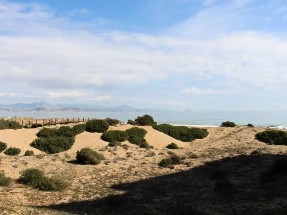 Location de Vacances Alicante/Elche/Crevillente