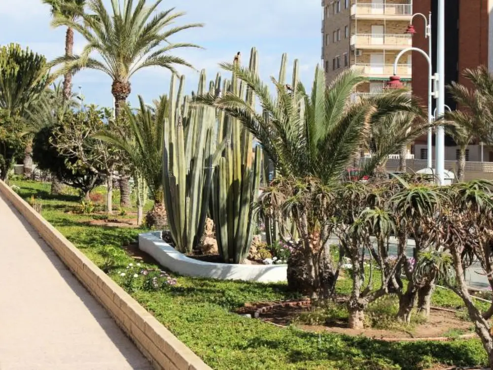 Location de Vacances Alicante/Elche/Crevillente