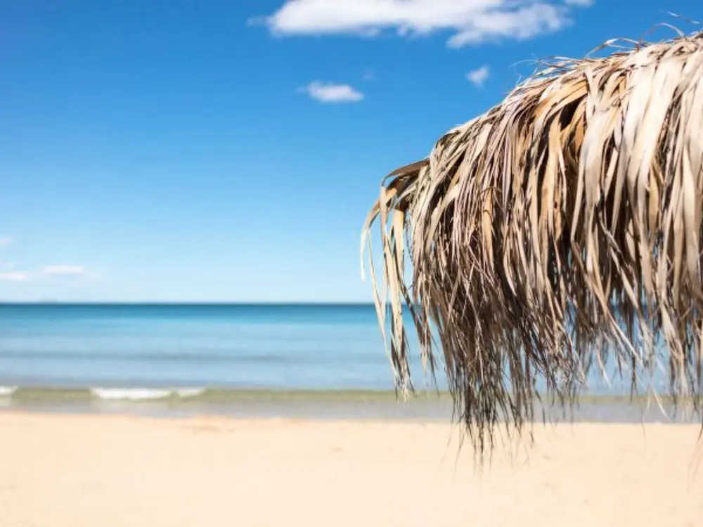 Location de Vacances Alicante/Elche/Crevillente