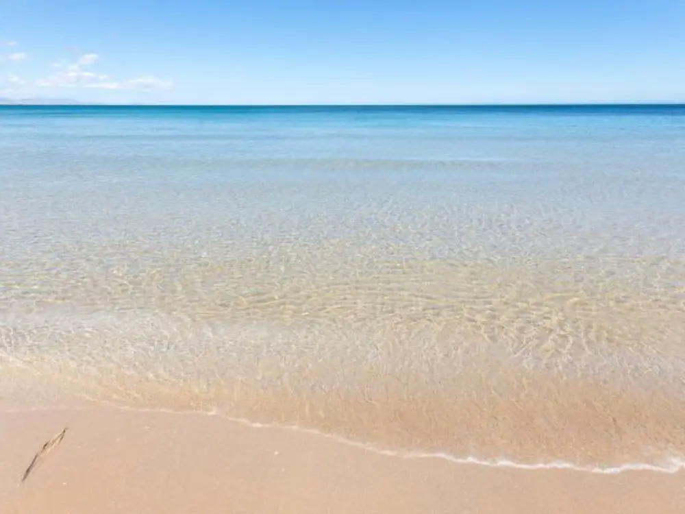 Location de Vacances Alicante/Elche/Crevillente