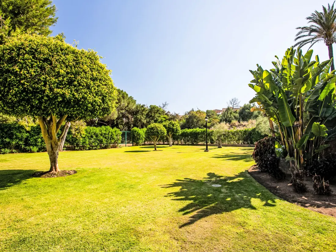 Résidence Los patios de Santa Maria