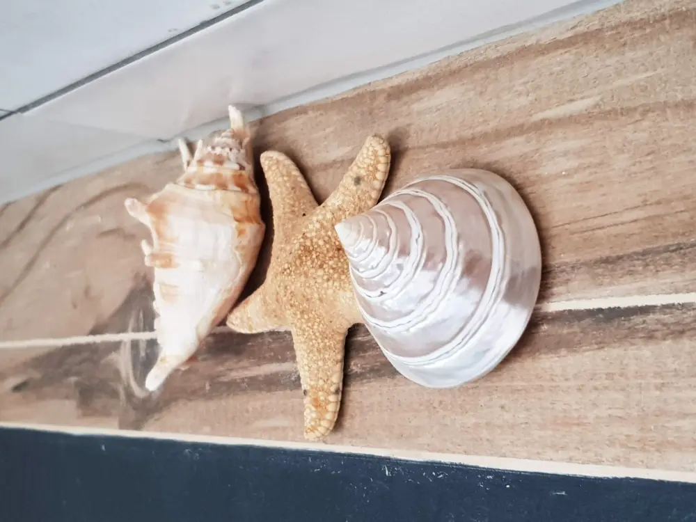 Résidence Der Ort des Lichts