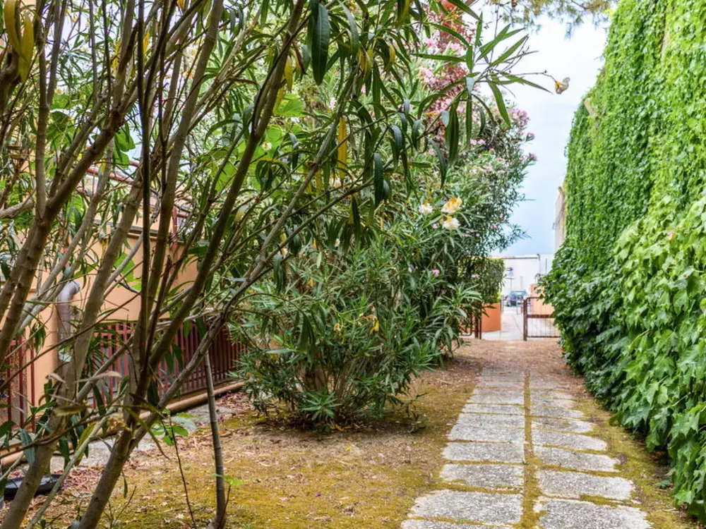 Résidence Fano Suite Apartment