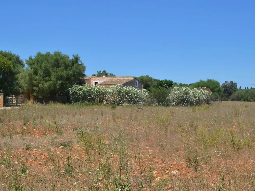 Maison de Vacances Felanitx