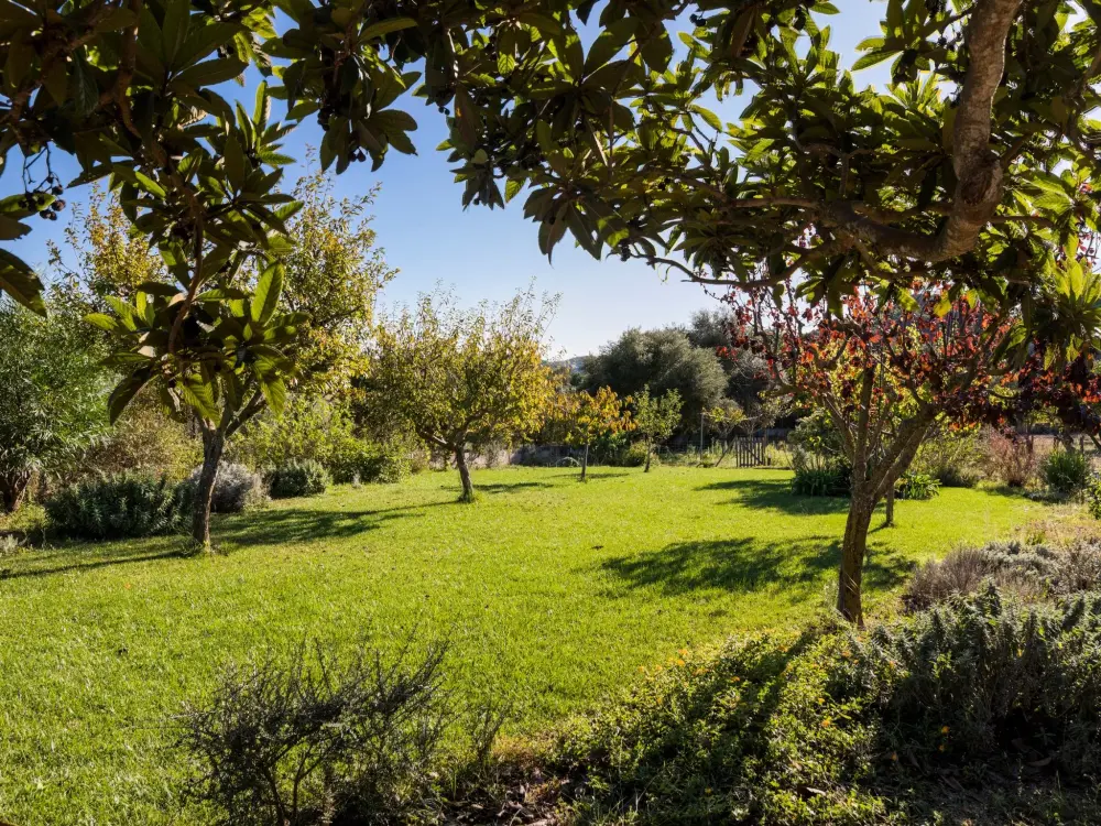 Maison de Vacances Felanitx