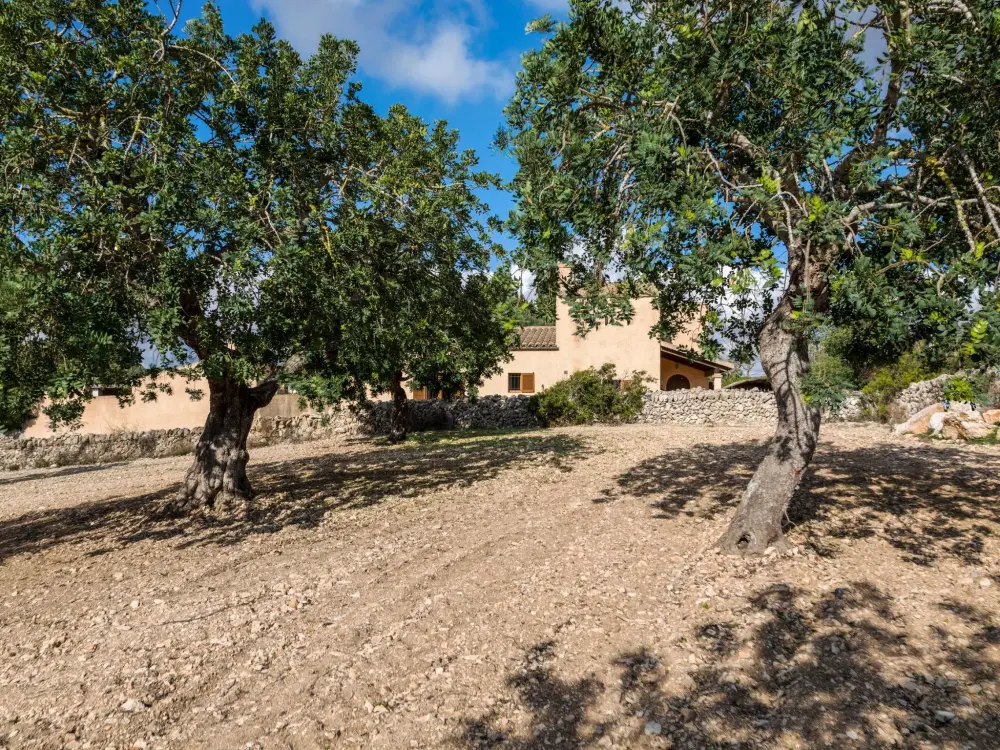 Maison de Vacances Felanitx