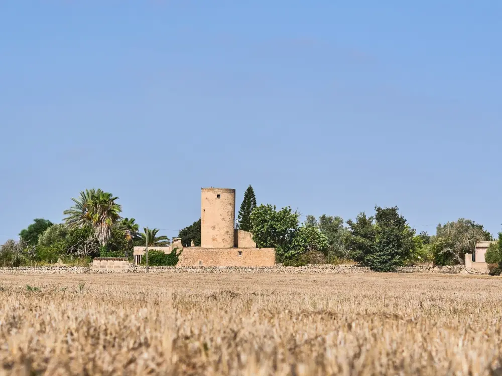 Maison de Vacances Felanitx