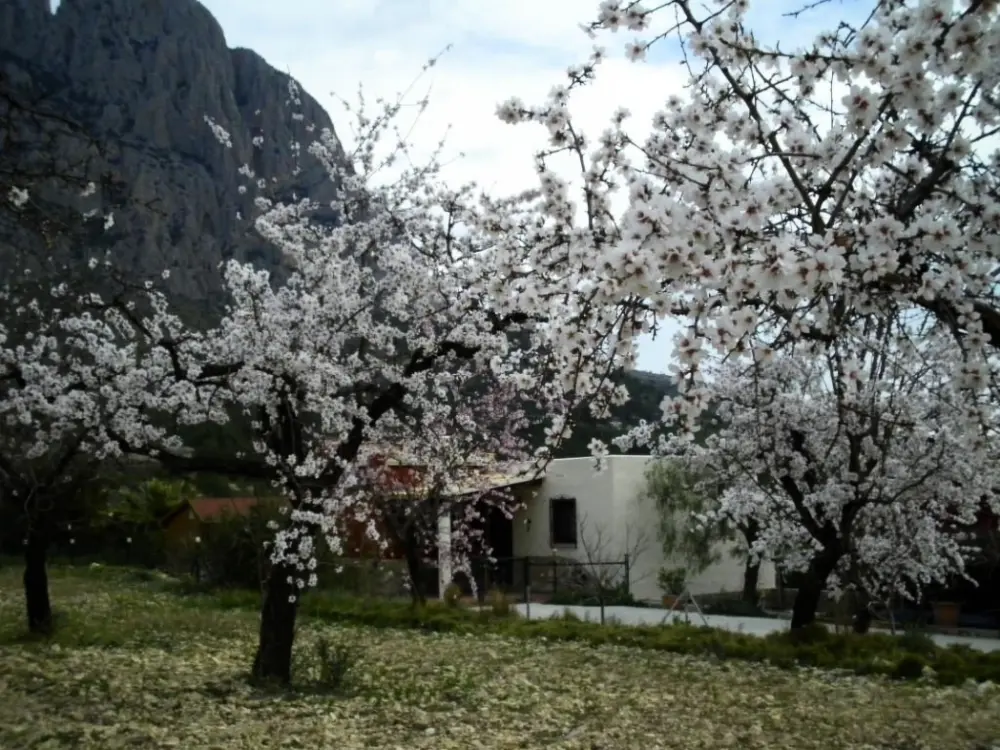 Maison de Vacances Finestrat