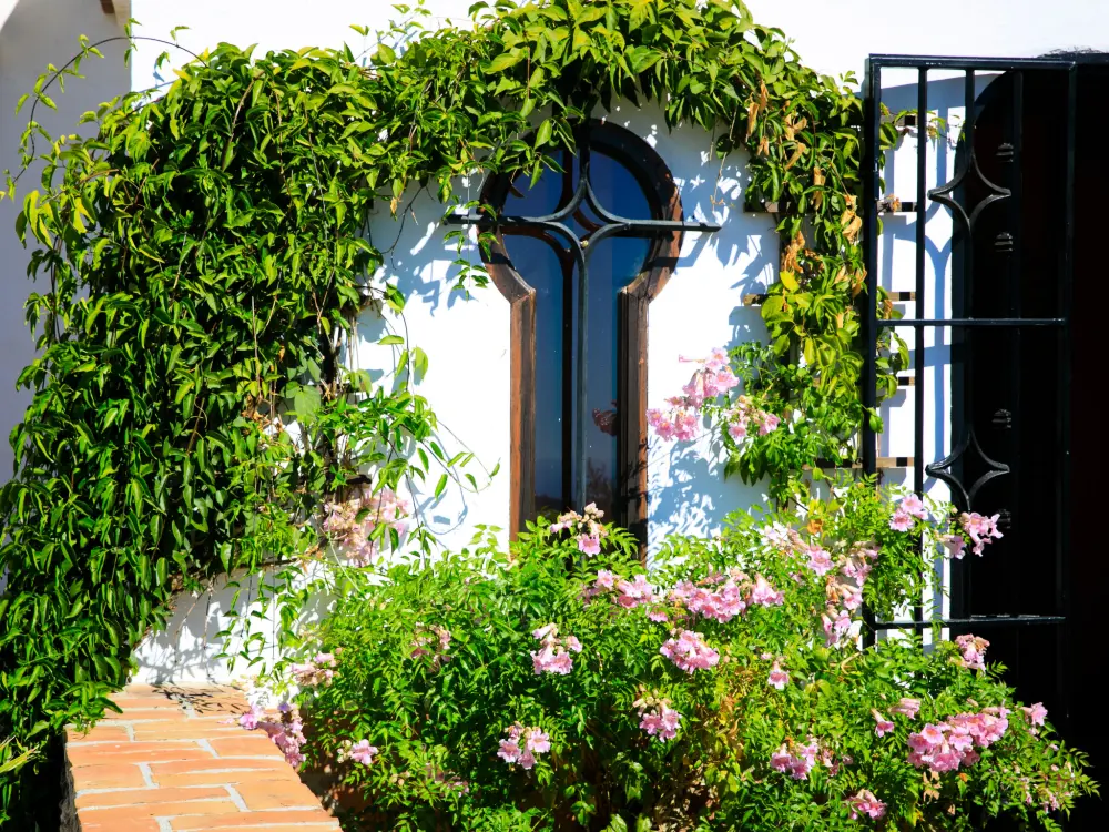 Maison de Vacances Frigiliana