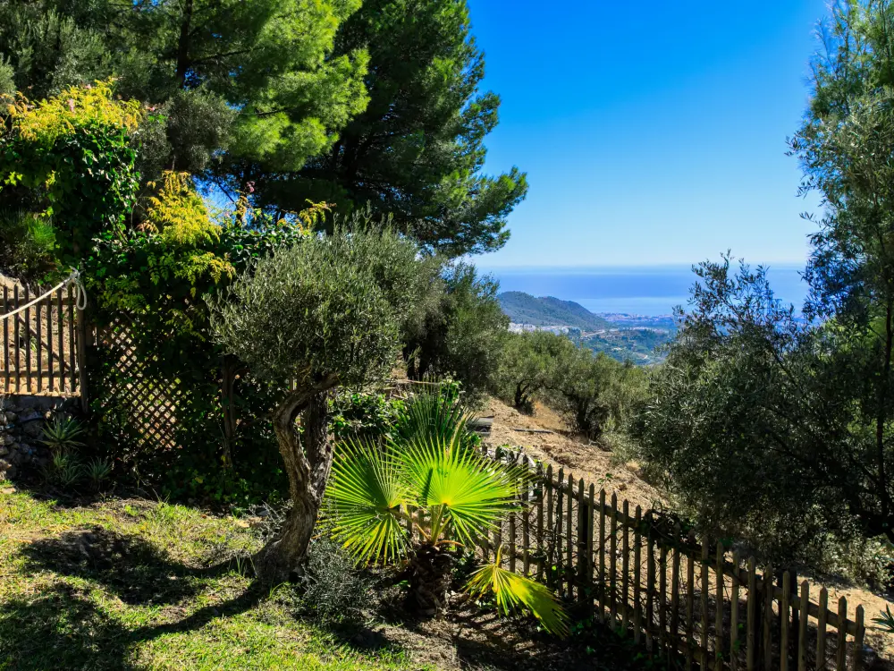 Maison de Vacances Frigiliana