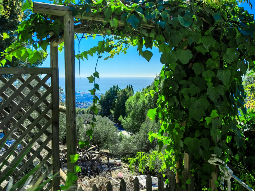 Maison de Vacances Frigiliana