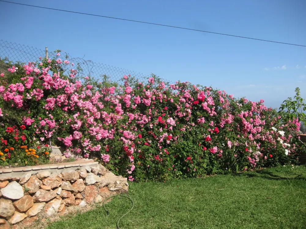 Maison de Vacances Frigiliana
