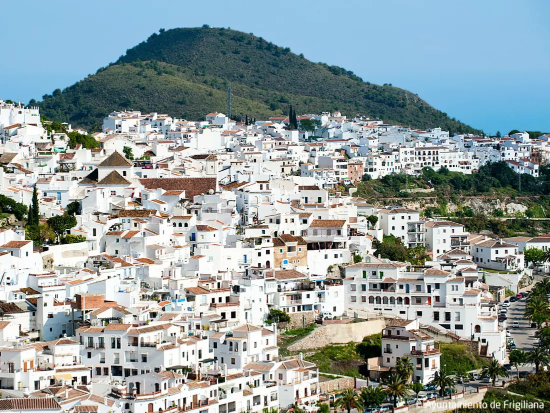 Maison de Vacances Frigiliana