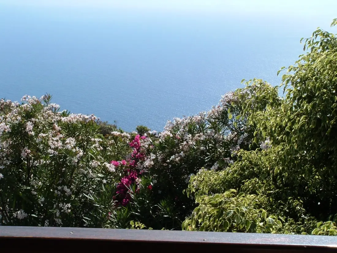 Maison de Vacances Fuencaliente