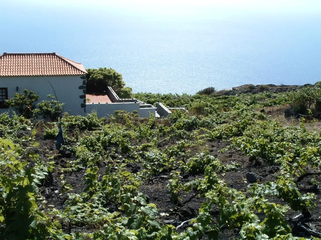 Maison de Vacances Fuencaliente