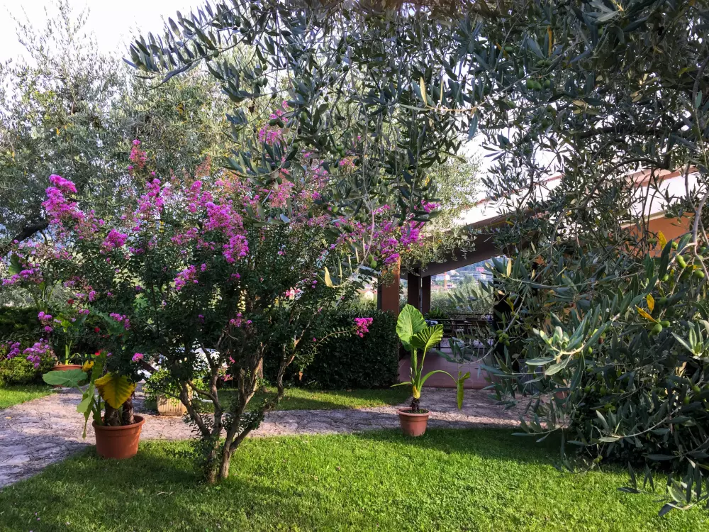 Résidence Le Rasole