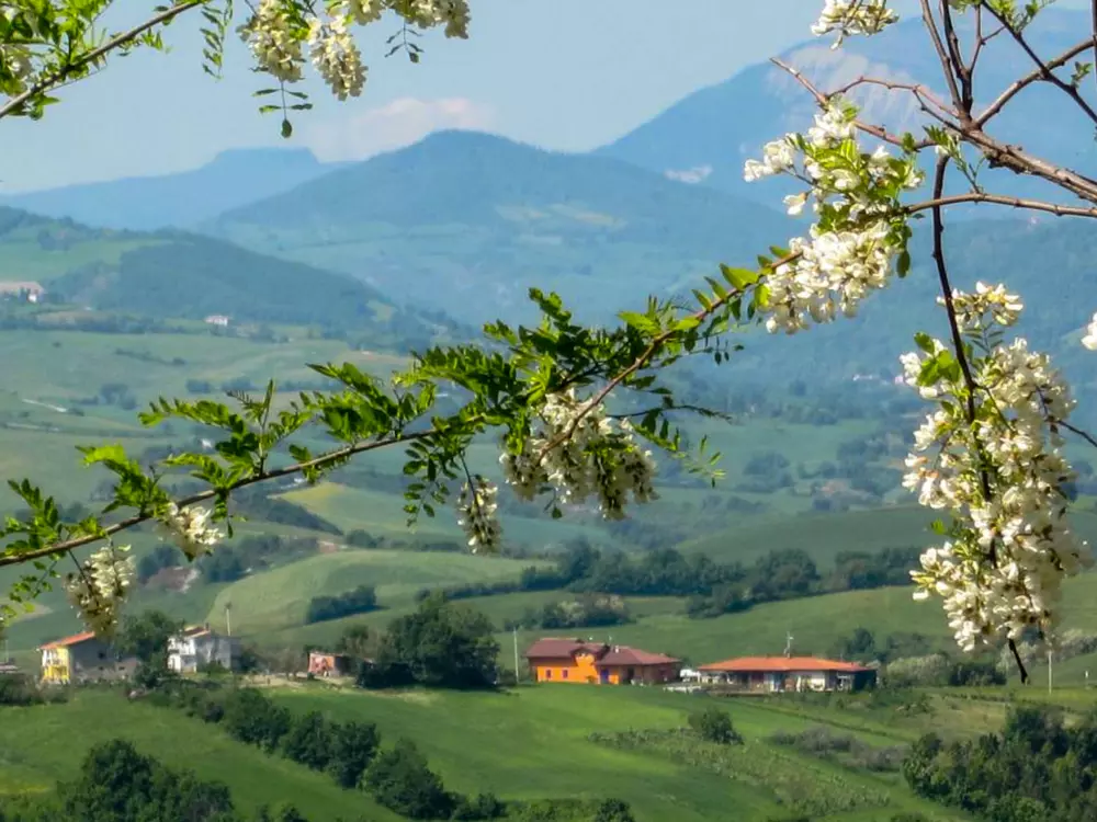 Maison de Vacances Gemmano