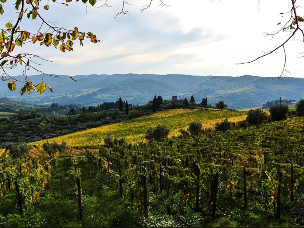 Maison de Vacances Greve in Chianti