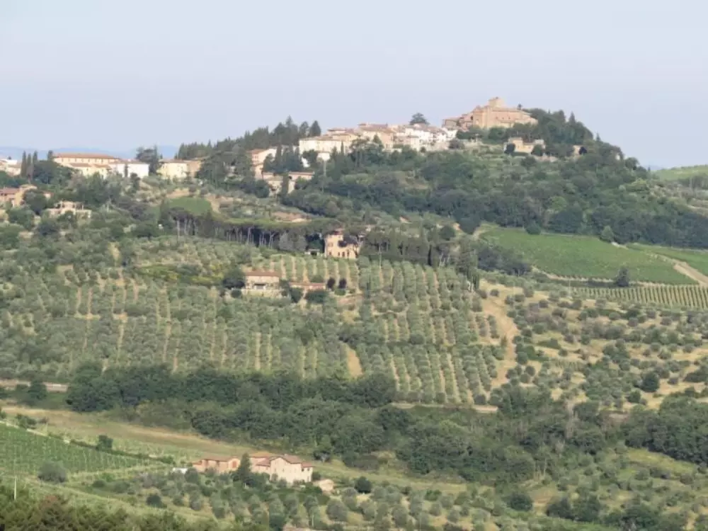 Maison de Vacances Greve in Chianti