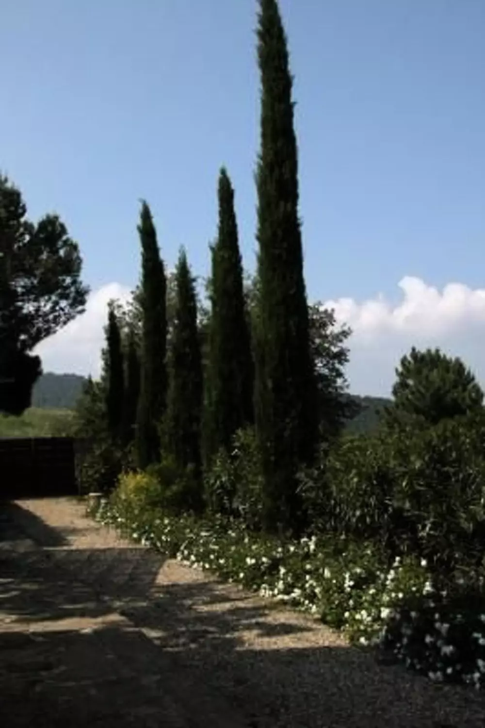 Maison de Vacances Greve in Chianti