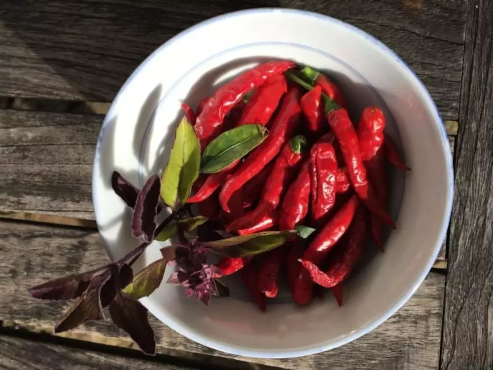 Maison de Vacances Greve in Chianti