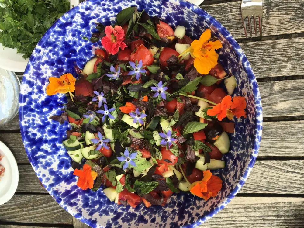 Maison de Vacances Greve in Chianti