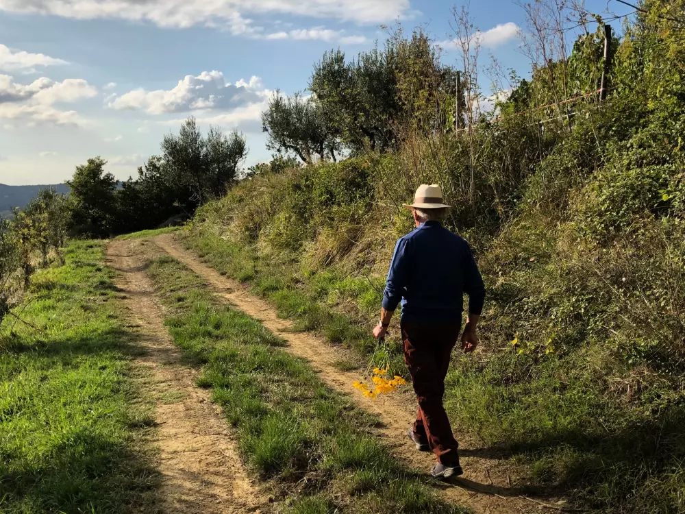 Maison de Vacances Greve in Chianti