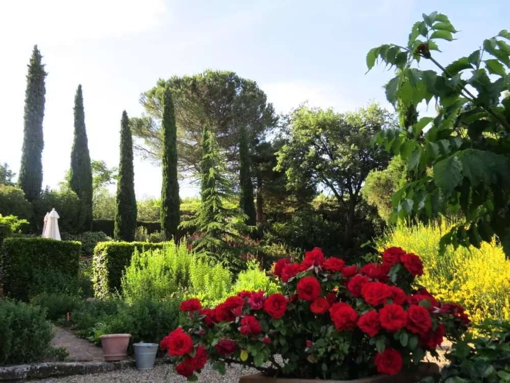 Résidence Podere Campolungo - Lo Studio