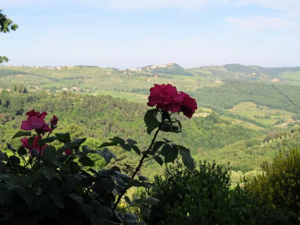 Résidence Podere Campolungo - Lo Studio