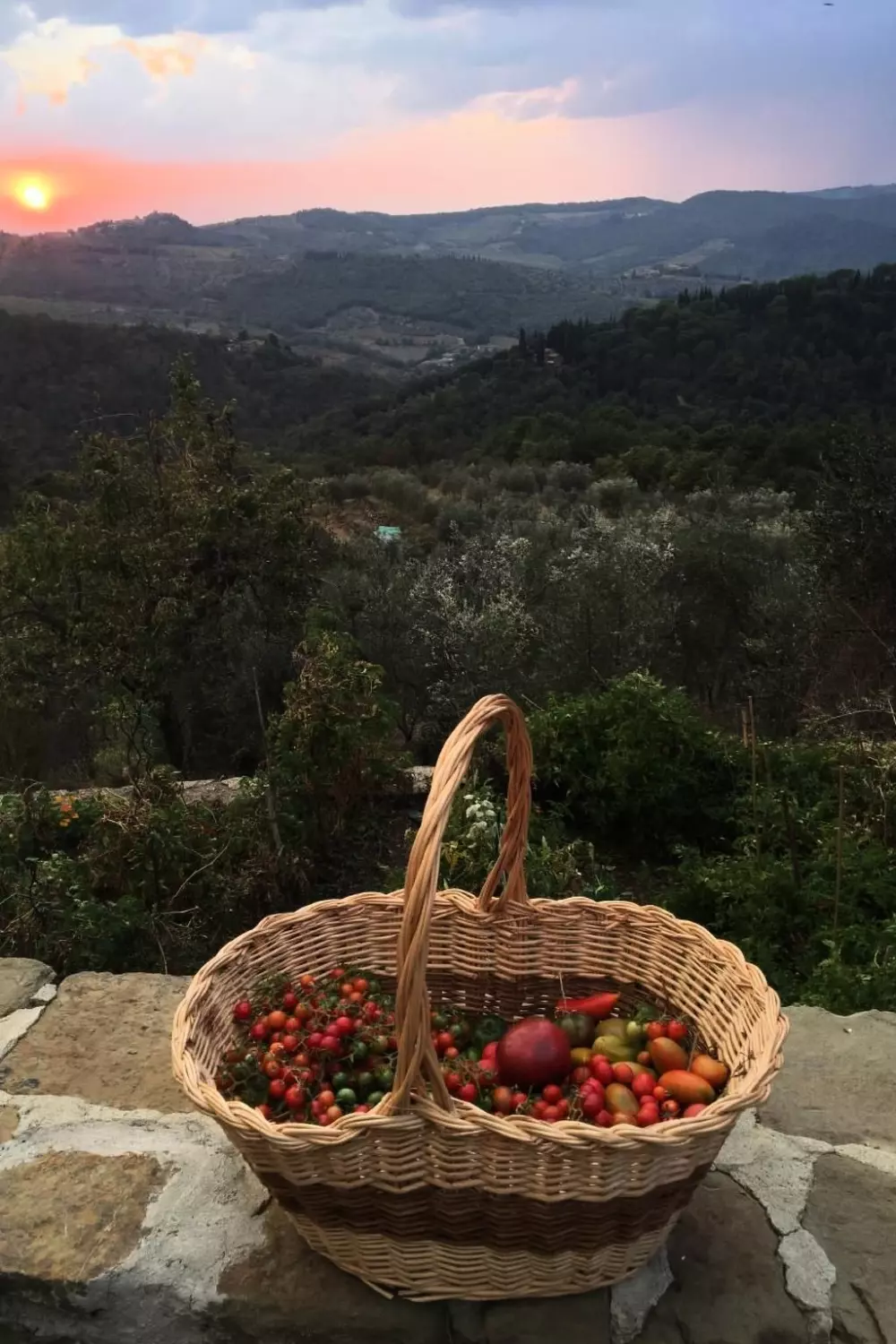 Résidence Podere Campolungo - Lo Studio