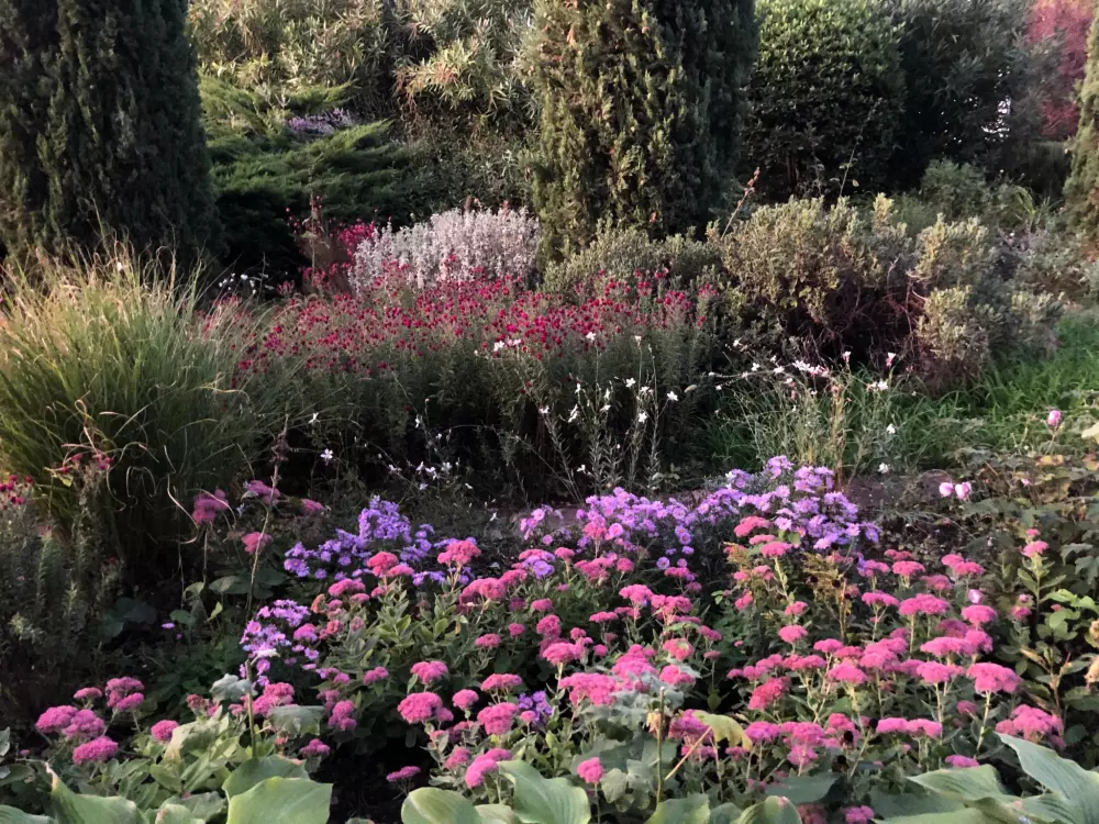 Résidence Podere Campolungo - Lo Studio