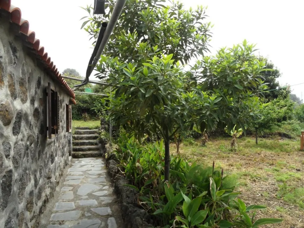 Maison de Vacances Icod de los Vinos